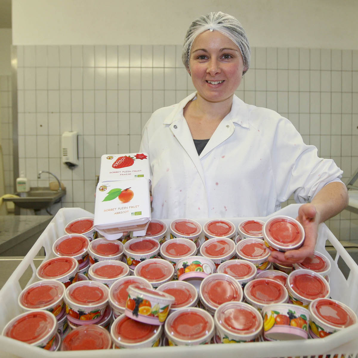 Sorbets BIO - La Ferme de la Métairie Sorbets BIO - La Ferme de la Métairie