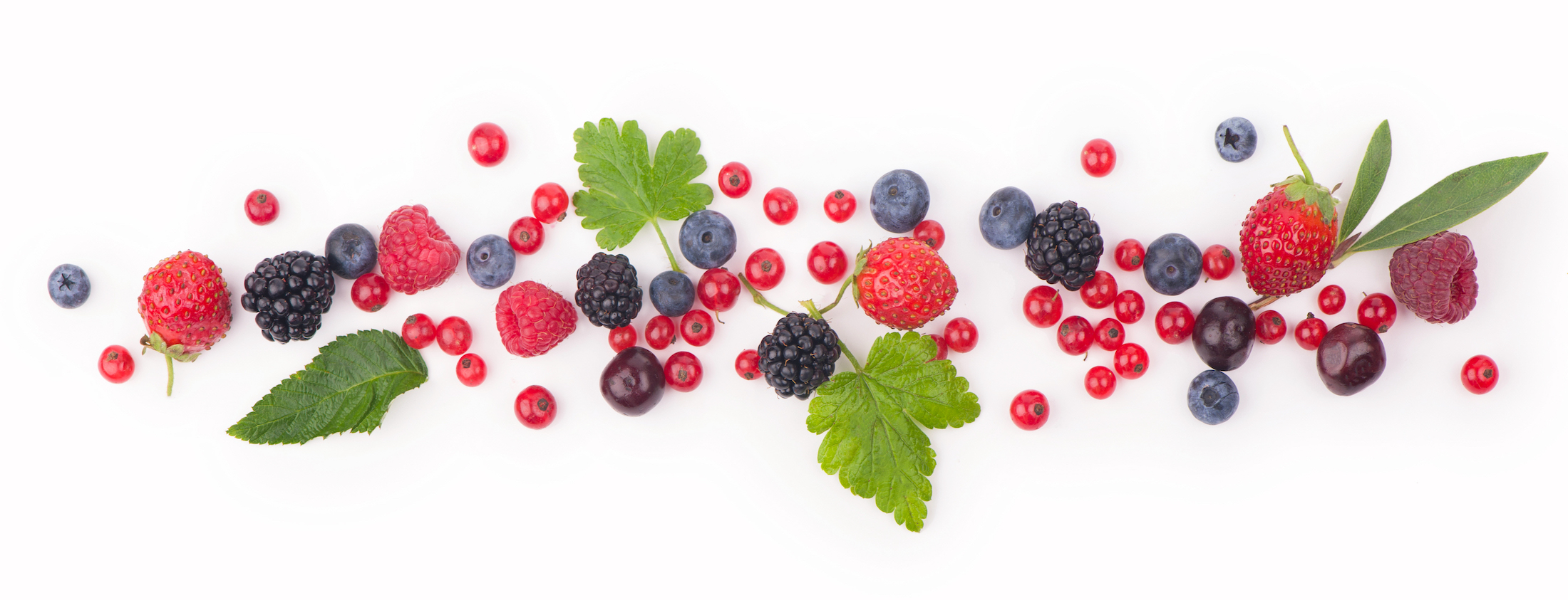 fruits bio - La Ferme de la Métairie