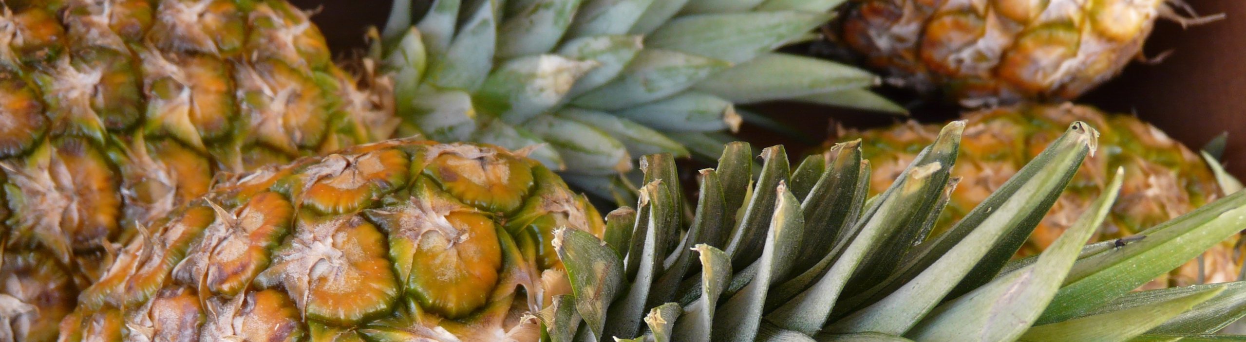 importation ananas - La Ferme de la Métairie